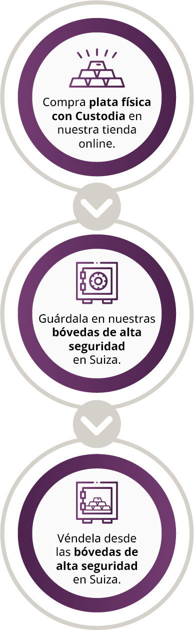 Plata sin Iva - Infografia