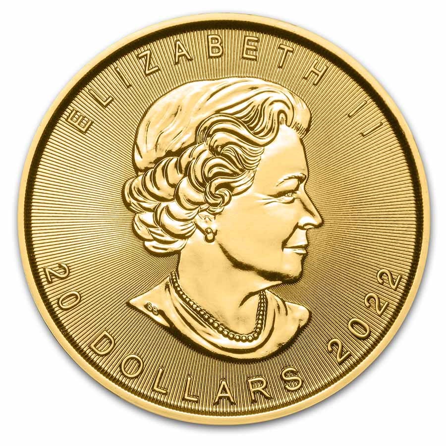 Moneda de Oro Maple Leaf 2022 1/2 oz reverse
