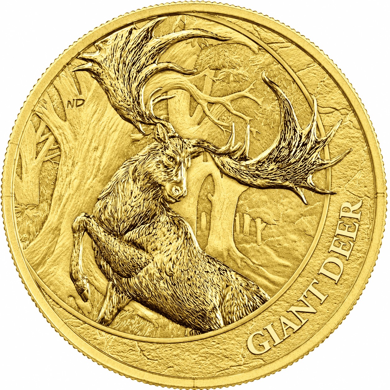 Moneda de Oro Ciervo Gigante 2026 1 oz