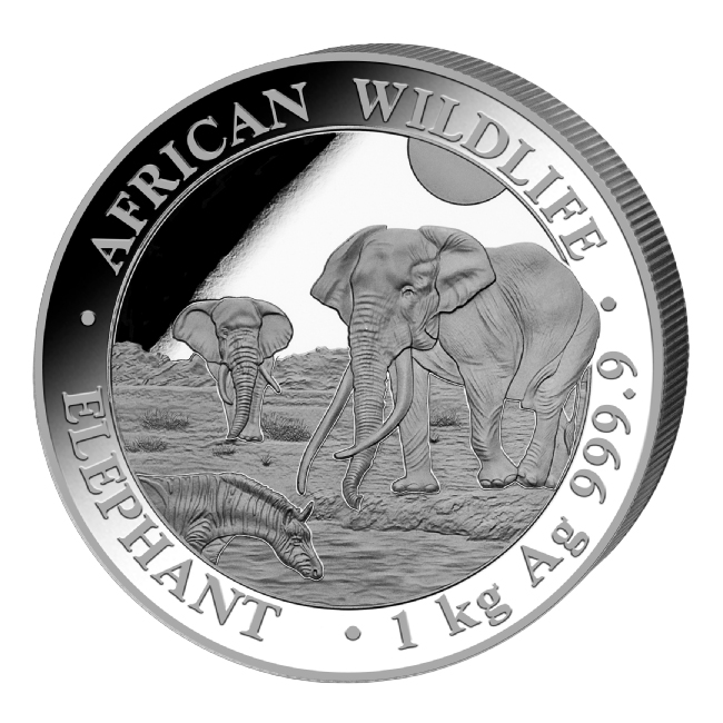 Moneda de Plata Elefante de Somalia 2026 1 kg