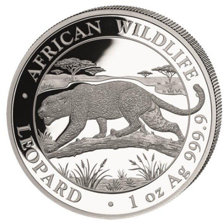 Moneda de Plata Leopardo de Somalia 2026 1 oz