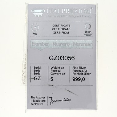 Lingote de Plata Italpreziosi de 5oz
