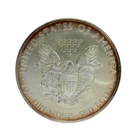 Moneda Estados Unidos American Eagle Plata 2008 1 oz