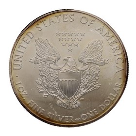 Moneda Estados Unidos American Eagle Plata 2008 1 oz