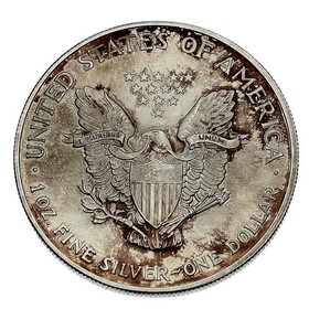 Moneda Estados Unidos Eagle Plata 2005 1 oz
