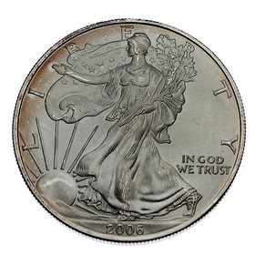 Moneda Estados Unidos Eagle Plata 2006 1 oz