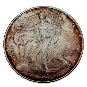 Moneda Estados Unidos Eagle Plata 2007 1 oz