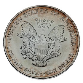 Moneda Estados Unidos Eagle Plata 2007 1 oz