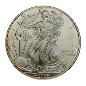 Moneda Estados Unidos 1 Dollar American Eagle Plata 2008 1 oz