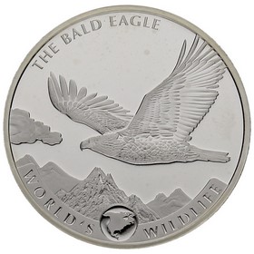 Moneda República Democrática del Congo 20 Francos Águila Calva Plata 2021 1 oz