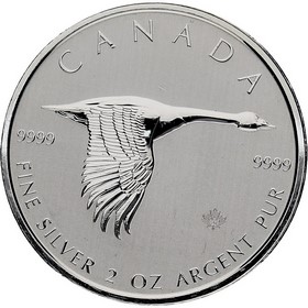 Moneda Canadá 10 Dollars Ganso Plata 2020 2 oz