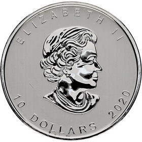 Moneda Canadá 10 Dollars Ganso Plata 2020 2 oz