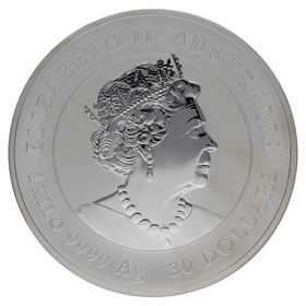 Moneda Australia 30 Dollars Año del Ratón Plata 2020 1 Kg