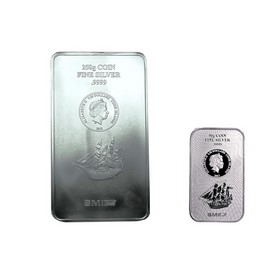 Lote de 2 Lingotes de Plata (50g y 250g)
