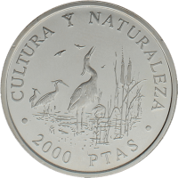 Moneda Juan Carlos I 2000 Pesetas Plata 1994 27 g