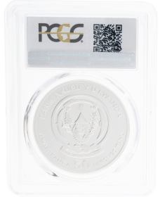 Moneda Ruanda 50 Francs pc65 ms70 guepardo cheetah Plata 2013 31,10 g