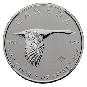Moneda Canadá 10 Dólares Ganso Canadiense Plata 2020 2oz