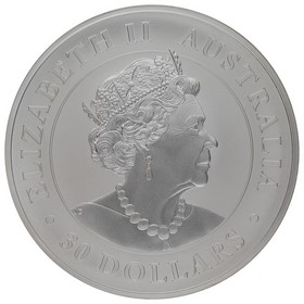 Moneda Australia 30 Dólares Koala Plata 2019 1Kg