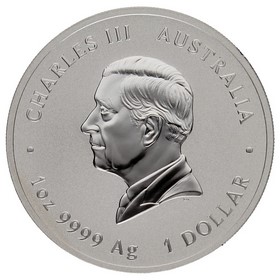 Moneda Australia 1 Dólar Año de la Serpiente Plata 2025 P-Perth 1oz
