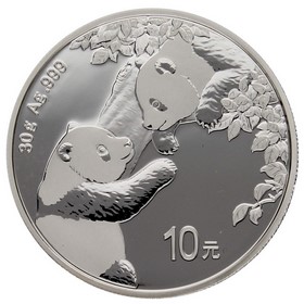 Moneda China 10 Yuanes Panda Plata 2023 30g
