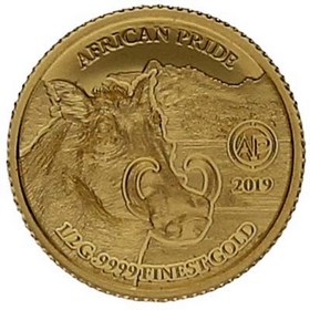 Moneda Níger 100 Francos SFA Orgullo Africano Oro 2019 1/2g